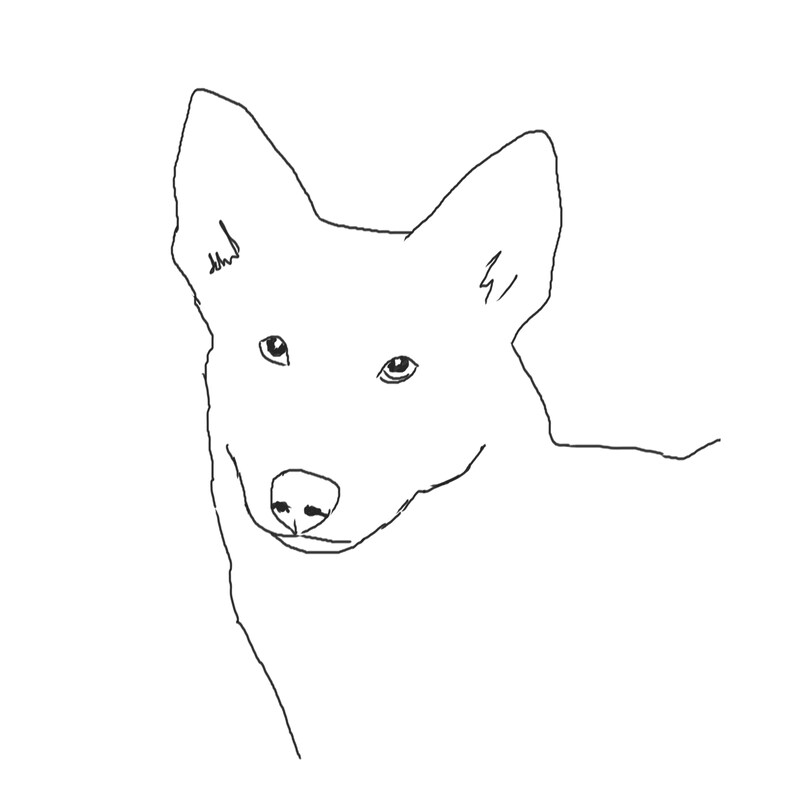 Canaan Dog (Design 3) - Printed Transfer Sheets for a variety of surfaces